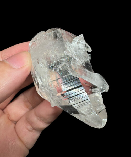 COLM48 Colombian Lemurian 3