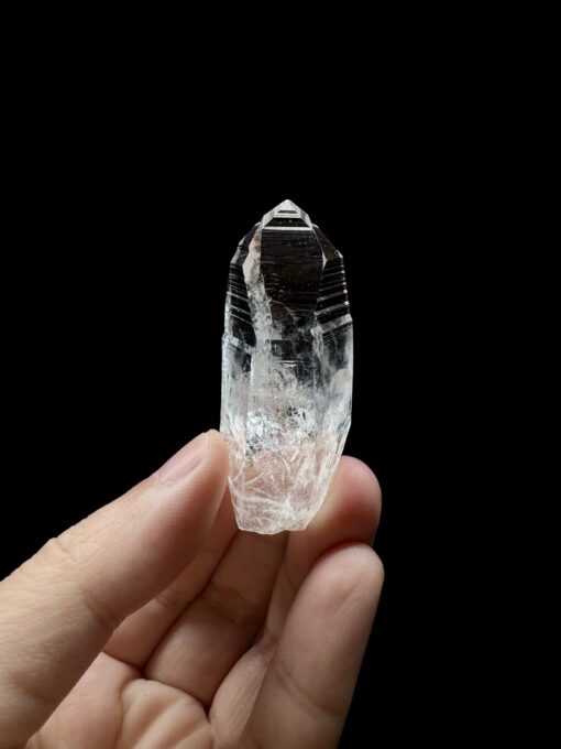 Colombian Lemurian COLM50 1