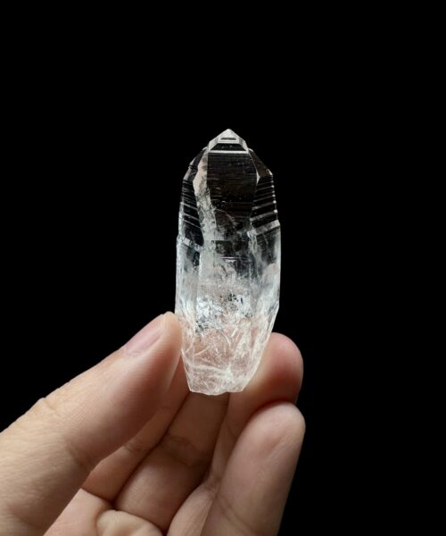 Colombian Lemurian COLM50 1