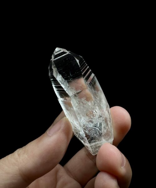 Colombian Lemurian COLM50 2