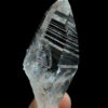 Colombian Lemurian COLM50 4
