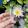Lemurian Quartz • Record Keeper, Dow (Colombia) 23.5g - COLM51 1 4