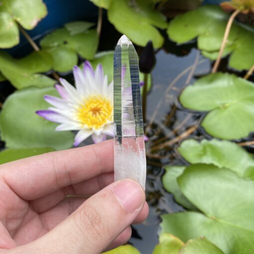 Lemurian Quartz • Record Keeper, Dow (Colombia) 23.5g - COLM51 1