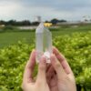 BLM17 Lemurian Phantom tuyệt đẹp