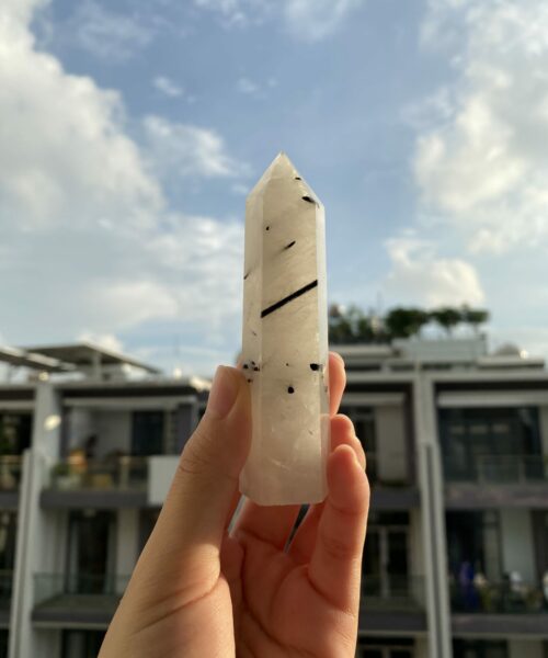 BLQ3 6