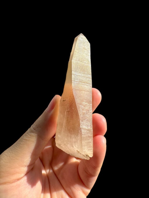 Tangerine Lemurian trên tay