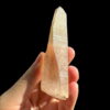 Tangerine Lemurian trên tay
