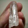 COLM53 Lemurian Phantom