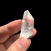 COLM59 Lemurian photo main