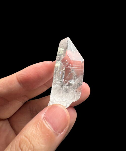 COLM59 Lemurian photo main
