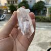 Colombian Lemurian COLM2801 2