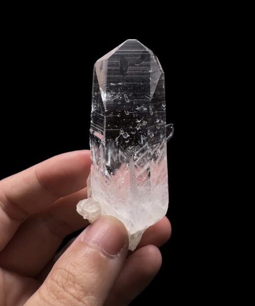 Colombian Lemurian COLM2801 featured