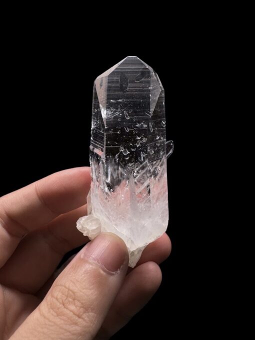 Colombian Lemurian COLM2801 featured