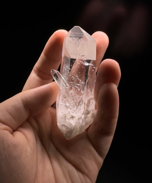 Colombian Lemurian COLM2801 trong long ban tay