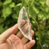 Colombian Lemurian COLM3 1