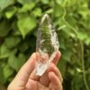 Colombian Lemurian COLM3 3