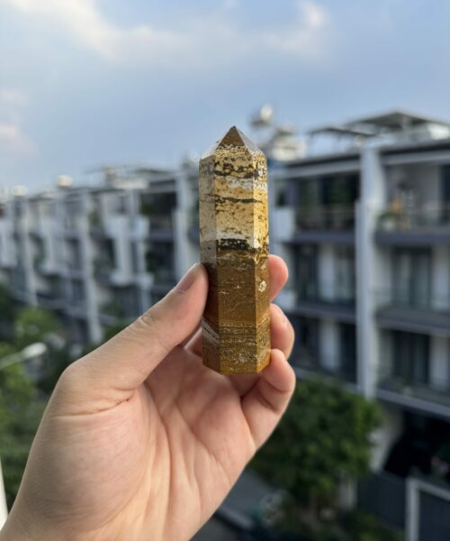 Ocean Jasper trên tay 1