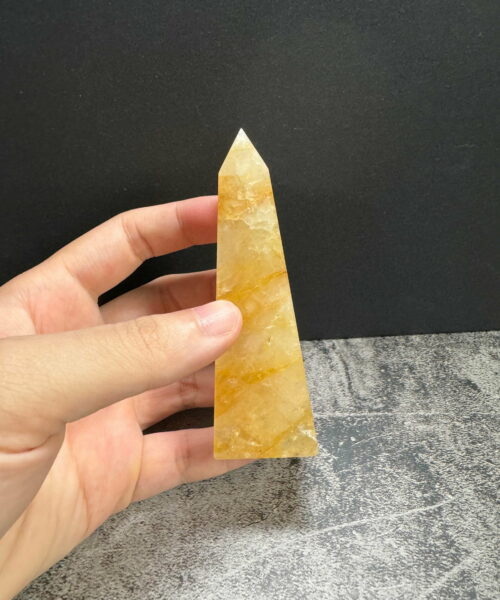 BGH5-Tru-da-Golden-Healer-Brazil-trên-tay