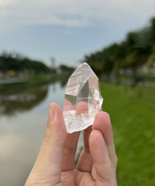 COLM32 Colombian Lemurian 2