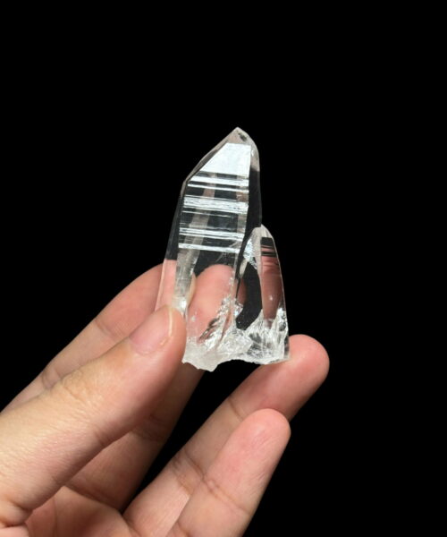 COLM4801 Penas Blancas Lemurian 8