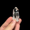 COLM4808 colombian lemurian trên tay