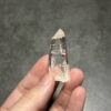 COLM4809 Colombian Lemurian 6