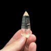 COLM4809 Colombian Lemurian featured