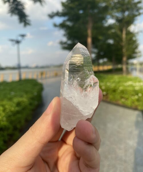 COLM4810 Penas Blancas Lemurian 1