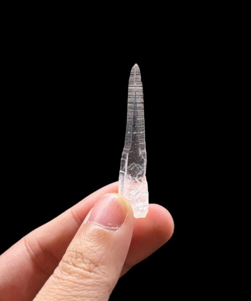 COLM62 Colombian Lemurian trên tay
