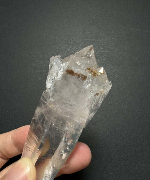 Colombian Lemurian DT 4