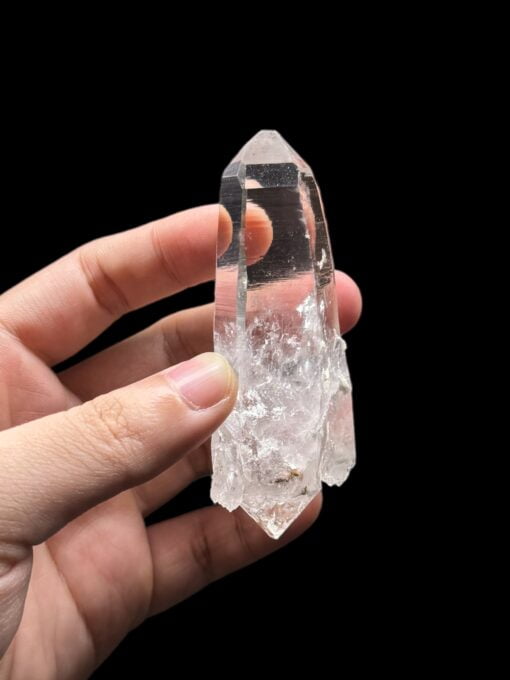 Colombian Lemurian DT tren tay 4