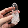 Colombian Lemurian DT tren tay 4