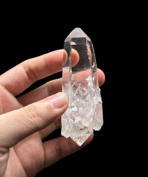Colombian Lemurian DT tren tay 4