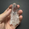 Colombian Lemurian DT tren tay