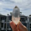 Lemurian Việt Nam 1