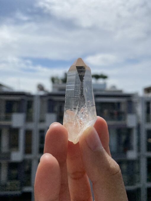 Lemurian Việt Nam 3