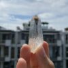 Lemurian Việt Nam 3