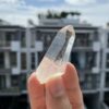 Lemurian Việt Nam 4