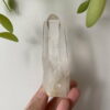 Lemurian Việt Nam 1