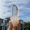 Lemurian Việt Nam 3