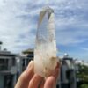 Lemurian Việt Nam 4