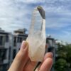 Lemurian Việt Nam 6