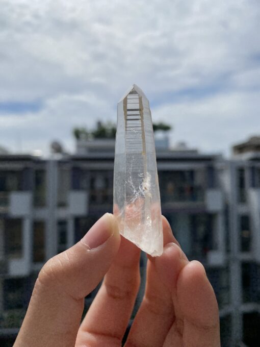 Lemurian Việt Nam 1