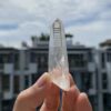 Lemurian Việt Nam 1