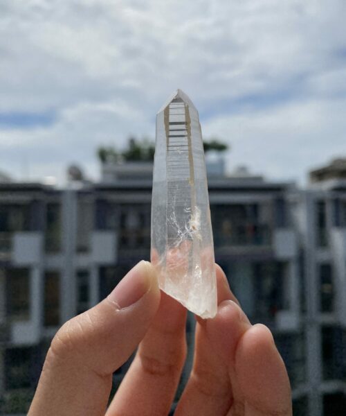 Lemurian Việt Nam 1