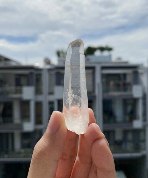 Lemurian Việt Nam 2