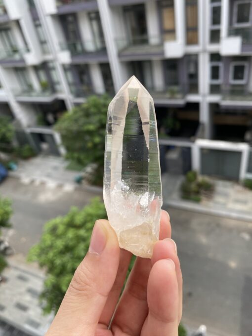 Lemurian Việt Nam 1