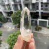 Lemurian Việt Nam 1