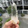 Lemurian Việt Nam 3