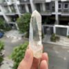 Lemurian Việt Nam 4